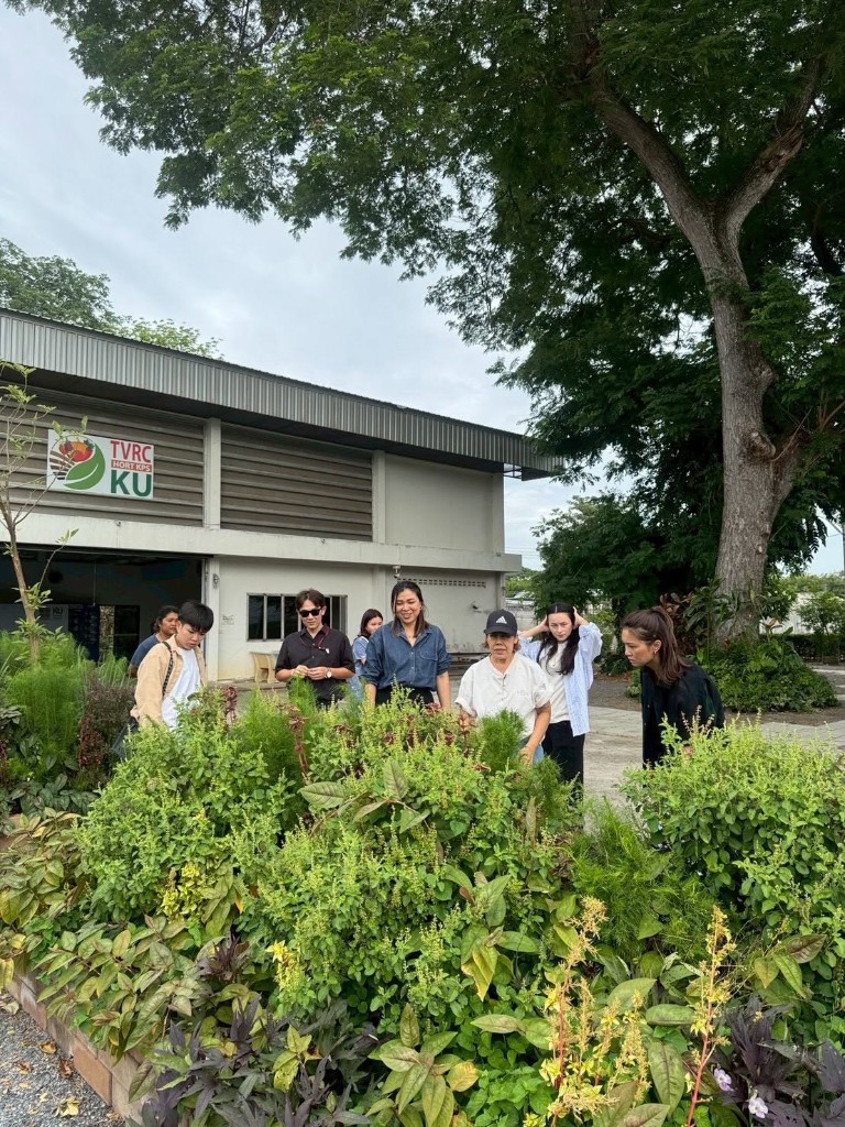 ทีมบ้านเทพาสำรวจพืชผักพื้นบ้านที่ TVRC